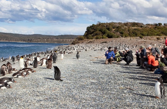 Excursión a la colonia de pingüinos