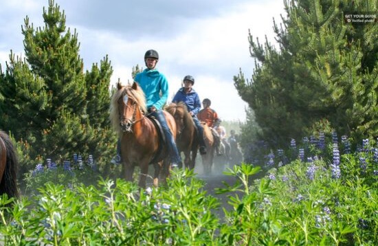 A Caballo Islandés por los Campos de Lava