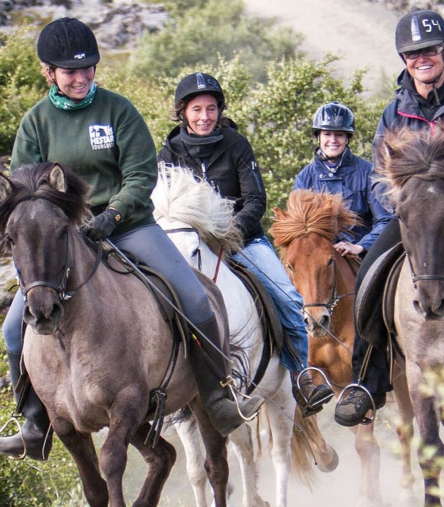 Islandia_caballo1