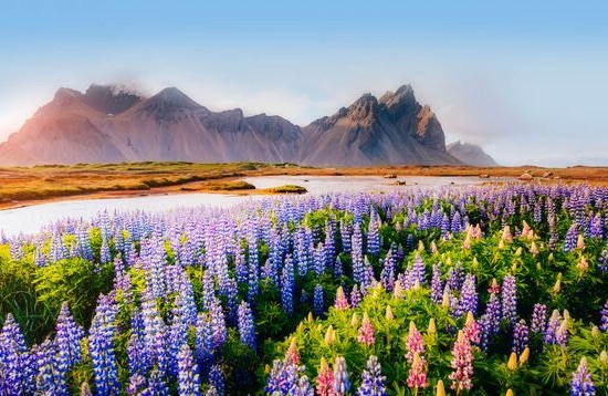 Costa Sur de Islandia