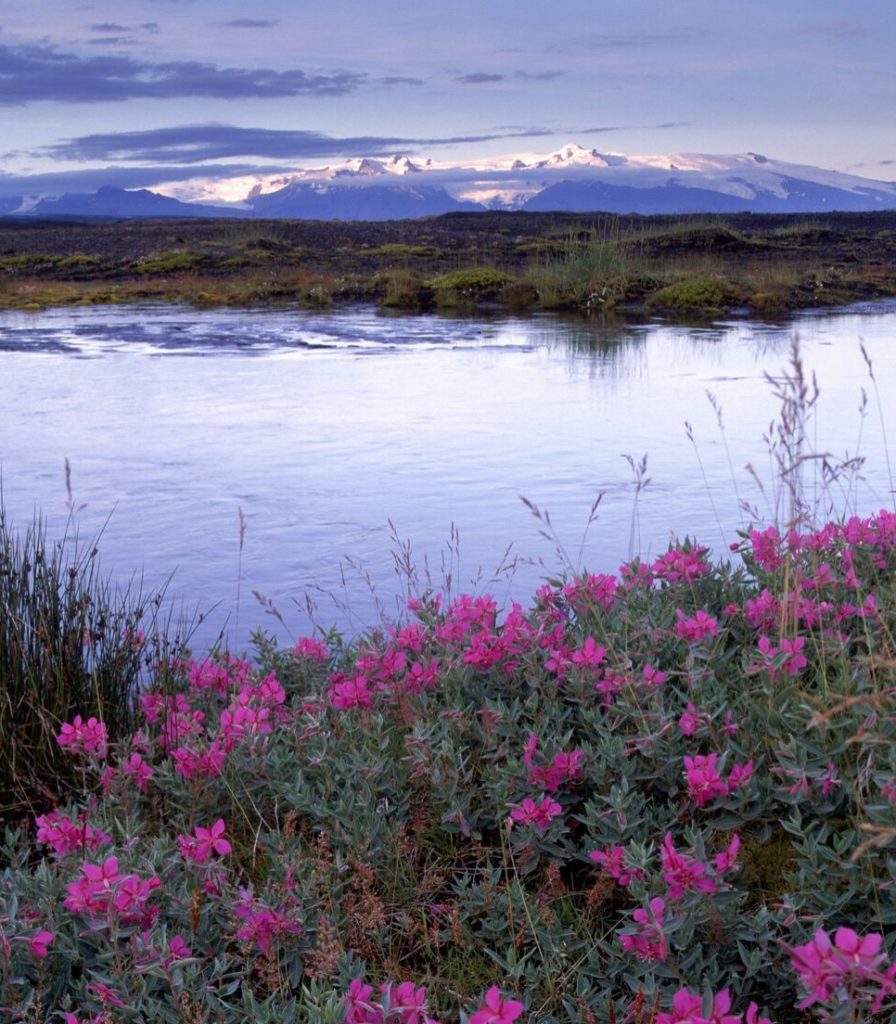 islandia18