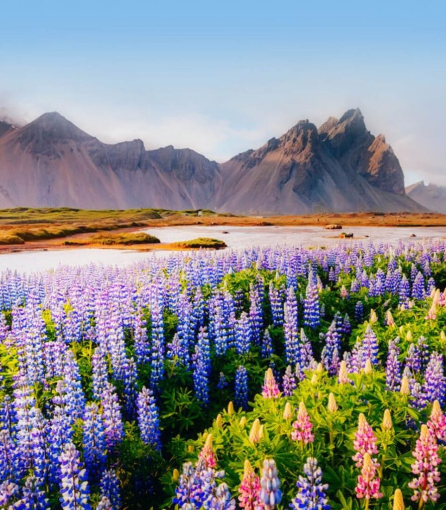 islandia20
