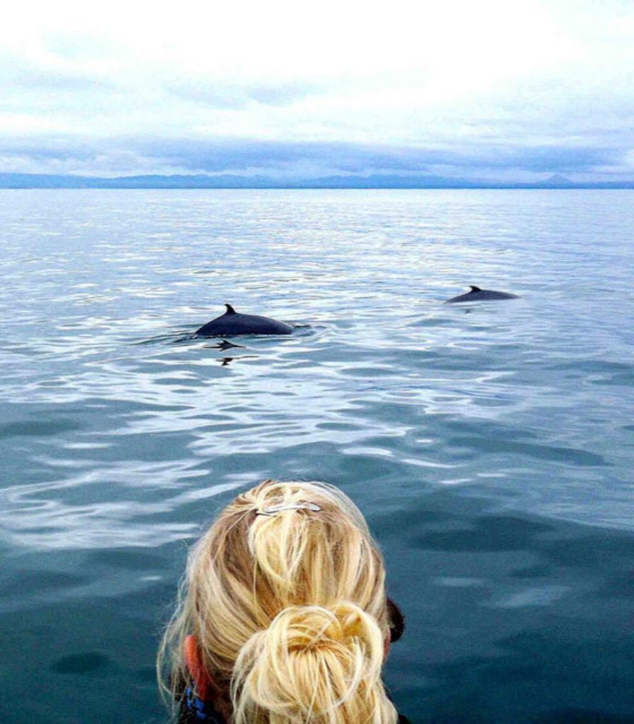 islandia_ballenas3