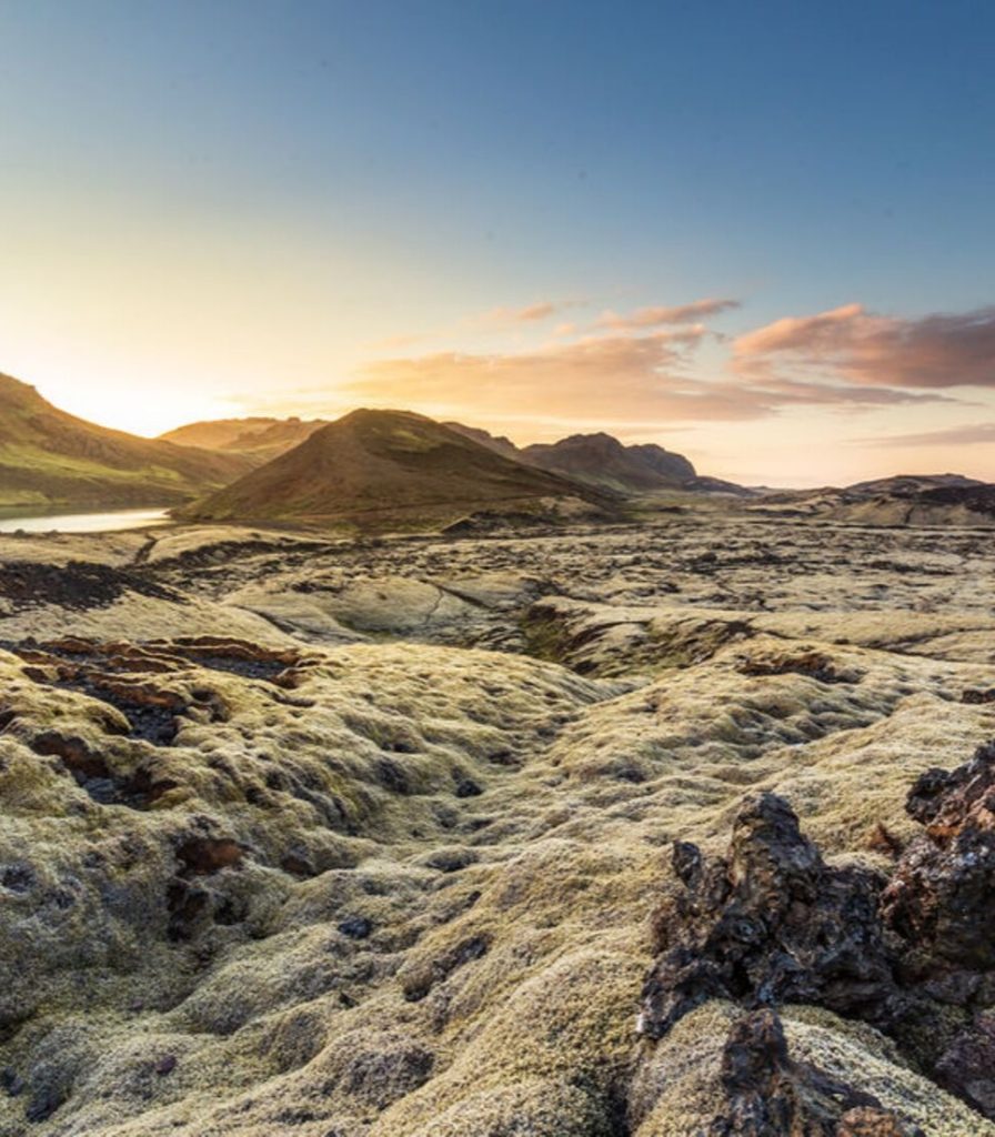 islandia_caballo5